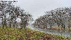 takano1-20250420073016.jpg