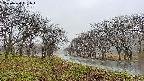 takano1-20250420091016.jpg