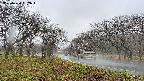 takano1-20250420092017.jpg