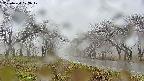 takano1-20250420122017.jpg