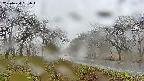 takano1-20250420131017.jpg
