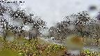 takano1-20250420132017.jpg