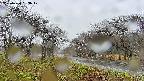 takano1-20250420133018.jpg