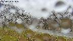 takano1-20250420141018.jpg