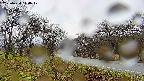 takano1-20250420144018.jpg