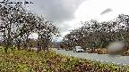 takano1-20250420153018.jpg
