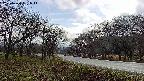 takano1-20250420161015.jpg