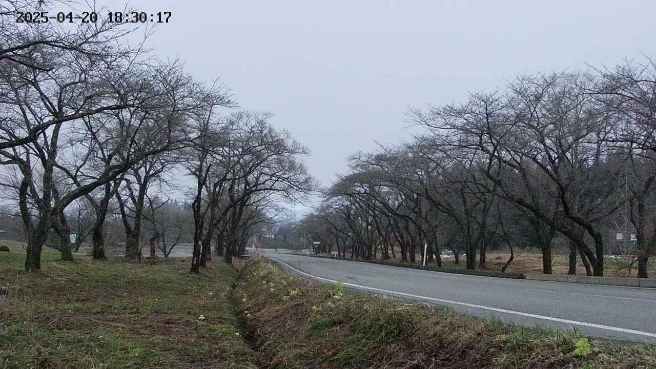 takano1-20250420183018.jpg
