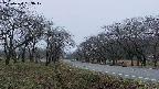 takano1-20250420183018.jpg