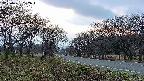 takano1-20250421182016.jpg