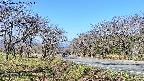 takano1-20250422081547.jpg
