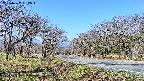 takano1-20250422082016.jpg