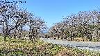 takano1-20250422092015.jpg