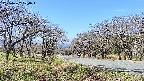 takano1-20250422100017.jpg