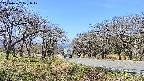 takano1-20250422101018.jpg