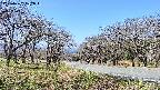 takano1-20250422102016.jpg