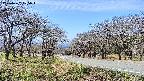 takano1-20250422105017.jpg