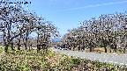 takano1-20250422110017.jpg
