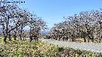 takano1-20250422111016.jpg