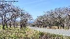 takano1-20250422112015.jpg