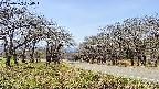 takano1-20250422120017.jpg