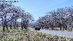 takano1-20250422124018.jpg