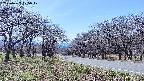 takano1-20250422125018.jpg