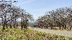 takano1-20250422130016.jpg