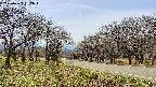 takano1-20250422132017.jpg