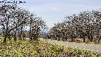 takano1-20250422133018.jpg