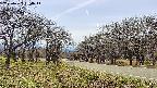 takano1-20250422134015.jpg