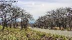 takano1-20250422140018.jpg