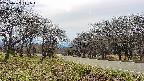 takano1-20250422141017.jpg