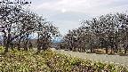takano1-20250422144017.jpg