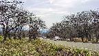 takano1-20250422145023.jpg