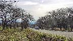 takano1-20250422153021.jpg