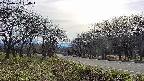 takano1-20250422154020.jpg
