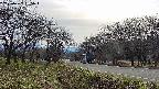 takano1-20250422155019.jpg