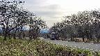 takano1-20250422160017.jpg