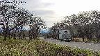 takano1-20250422161019.jpg