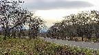 takano1-20250422165018.jpg