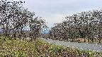 takano1-20250422175016.jpg
