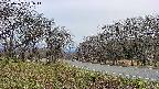 takano1-20250422181016.jpg