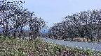 takano1-20250422182016.jpg