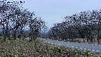 takano1-20250422183016.jpg
