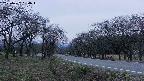 takano1-20250422184016.jpg
