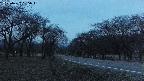 takano1-20250422185017.jpg