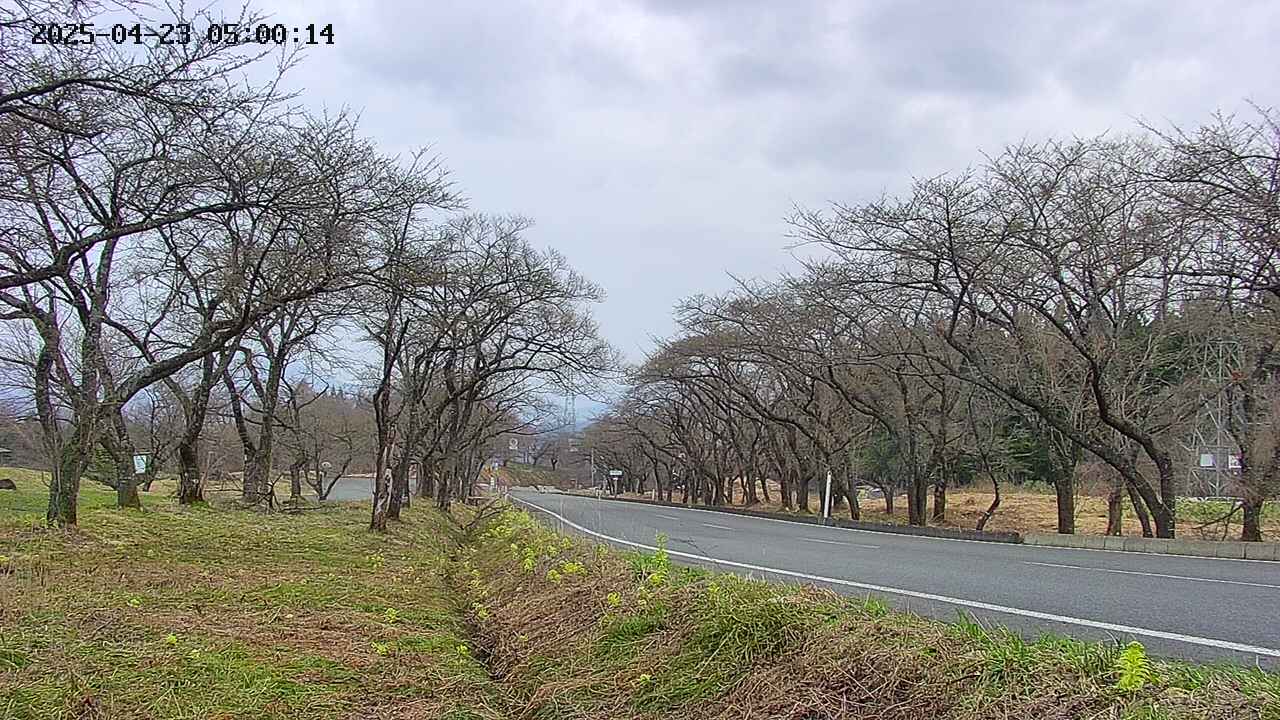 takano1-20250423050015.jpg