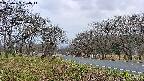 takano1-20250423050015.jpg