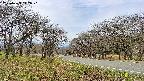takano1-20250423112018.jpg